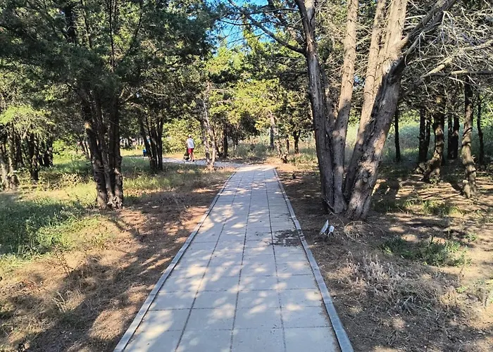 公寓 Privat Reea 奥林普